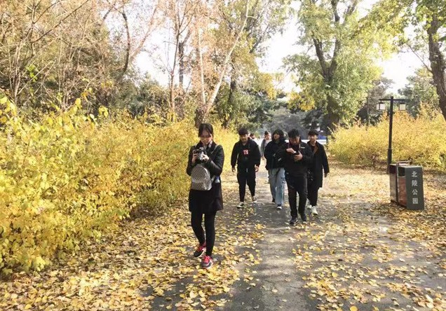 留住深秋的一抹美好——国际摄影班北陵公园户外摄影实习